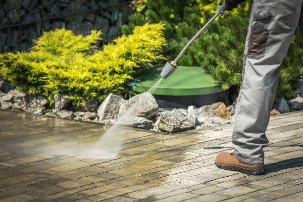 Best Dumpster Area Cleaning  in North Miami Beach, FL